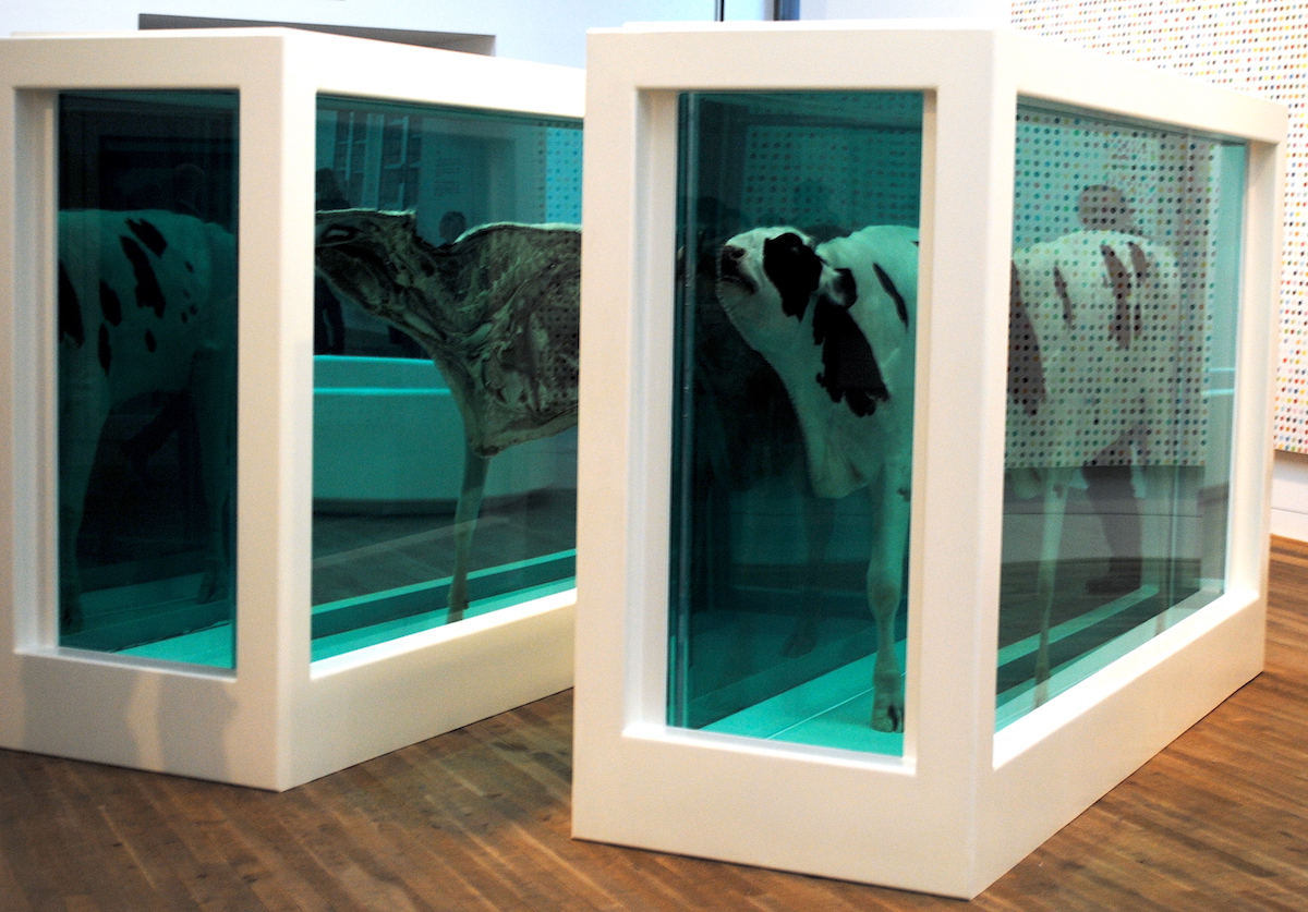 Beyond Aesthetics: The tangible and intangible value of Art